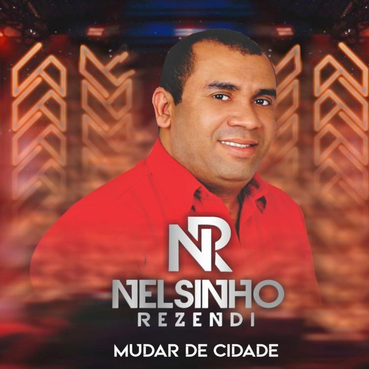 NELSINHOREZENDI's avatar image