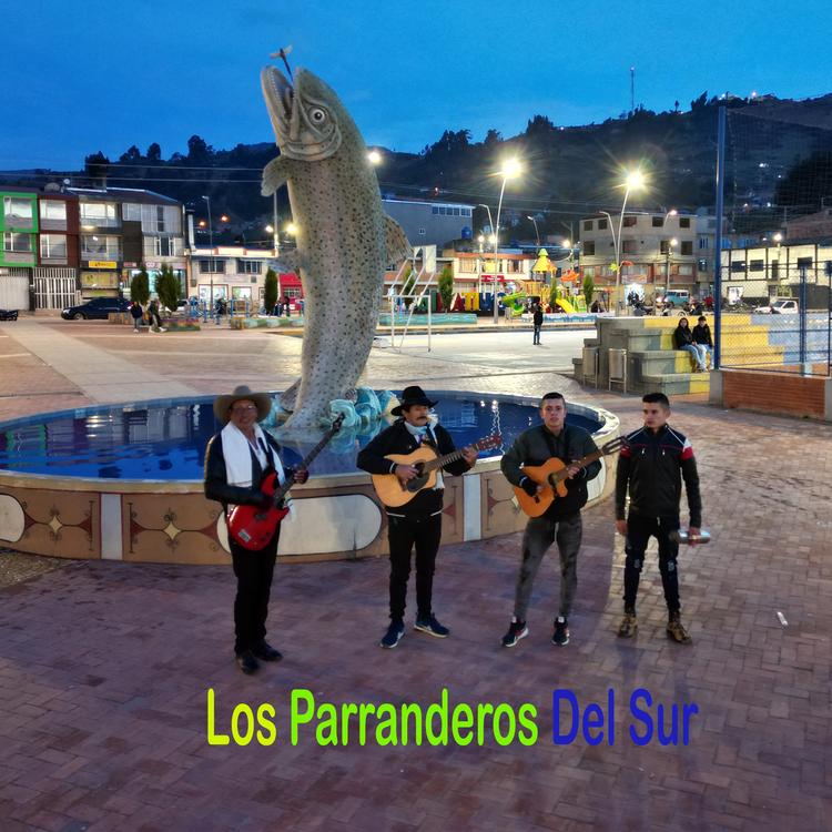 Los Parranderos Del Sur's avatar image