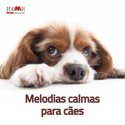 Sons calmantes para o seu cão By RW Acalmar cachorro com música's cover