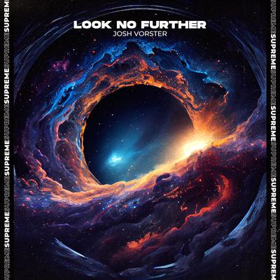 Look No Further By Josh Vorster's cover