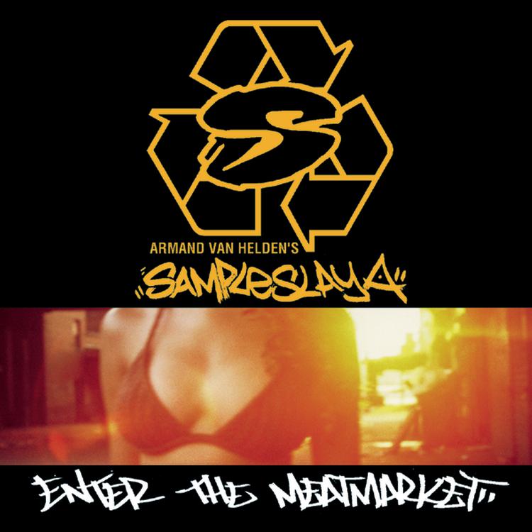 Armand Van Helden's Sampleslaya's avatar image