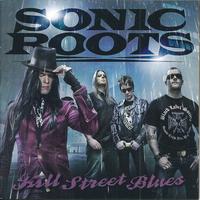 Sonic Roots's avatar cover