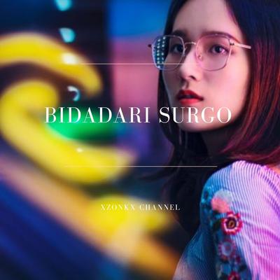 Bidadari Surgo's cover