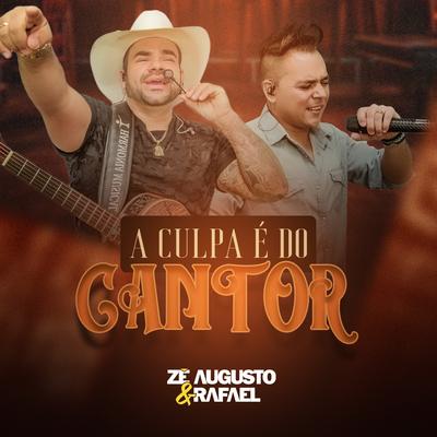 A Culpa é do Cantor's cover