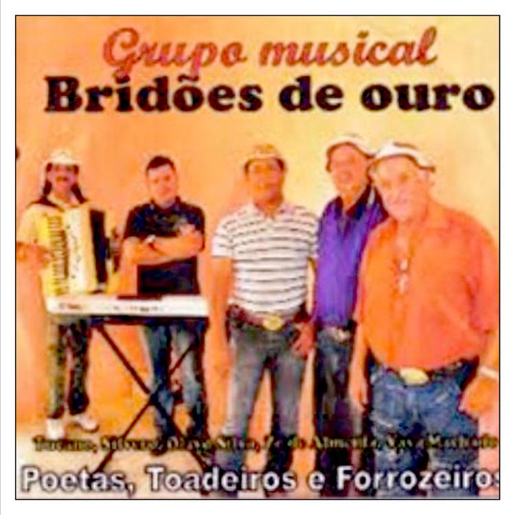 GRUPO BRIDÕES DE OURO's avatar image