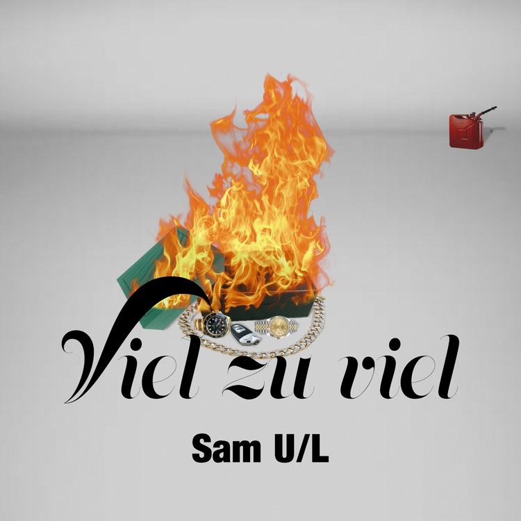 Sam U L's avatar image