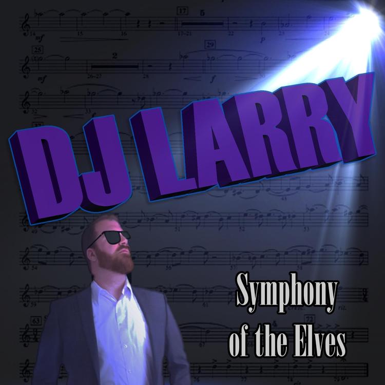 DJ Larry's avatar image