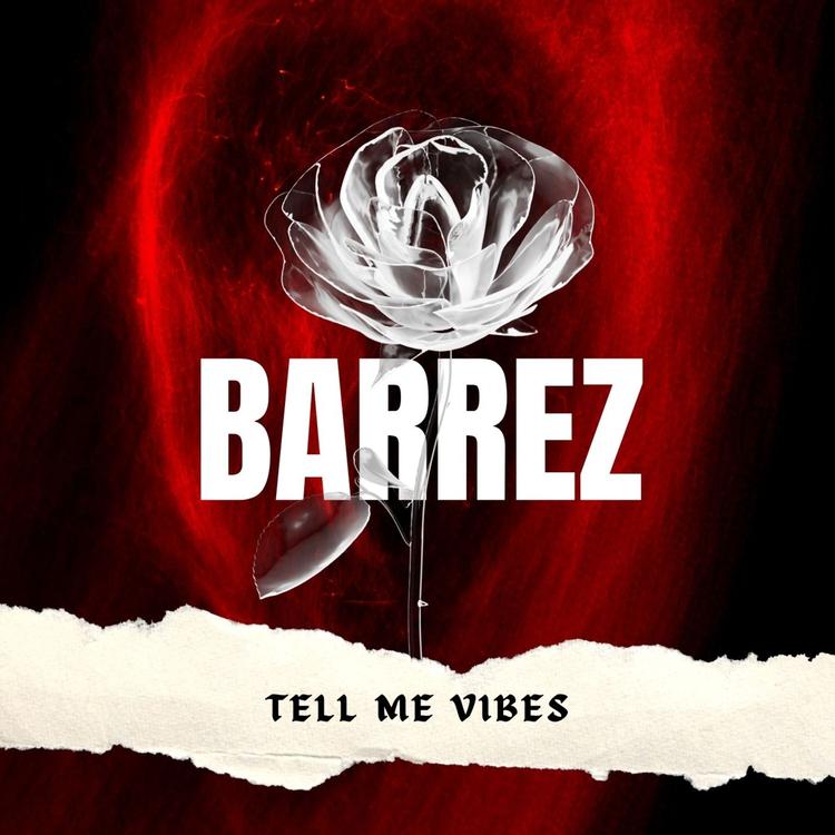 Barrez's avatar image