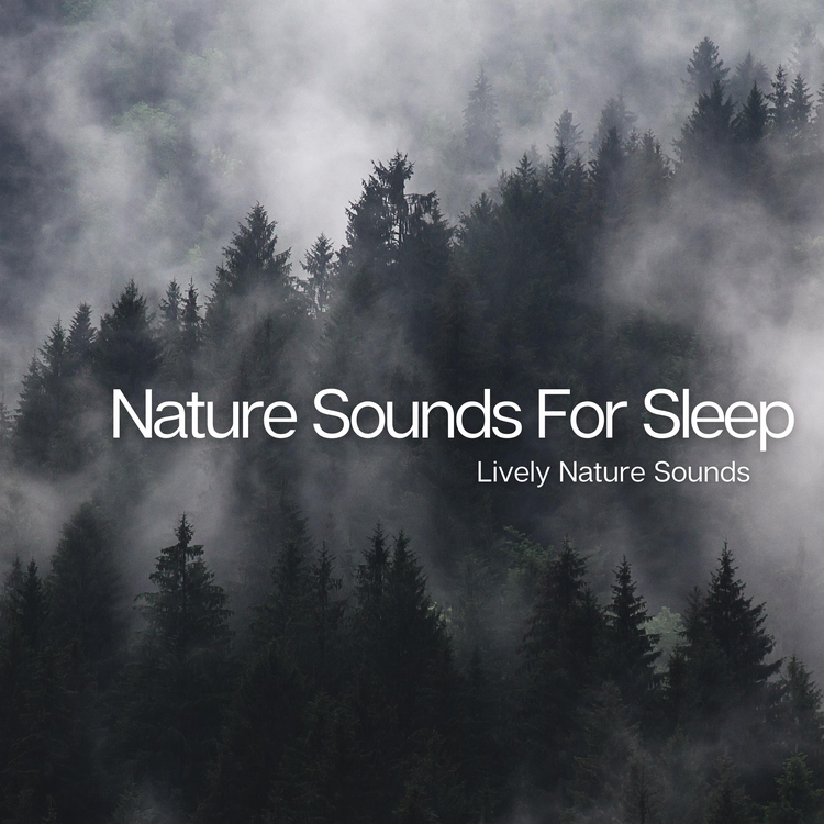 Lively Nature Sounds's avatar image