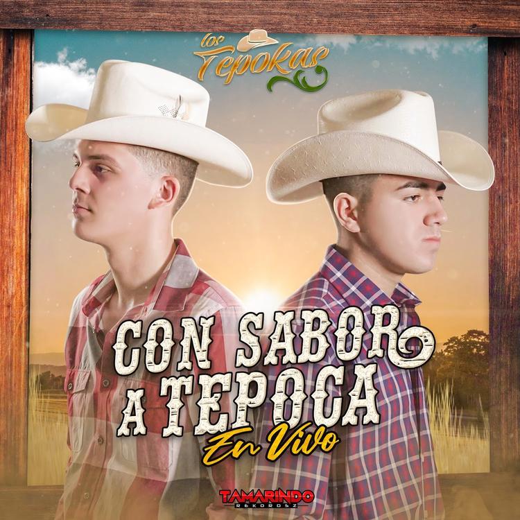 Los Tepokas's avatar image