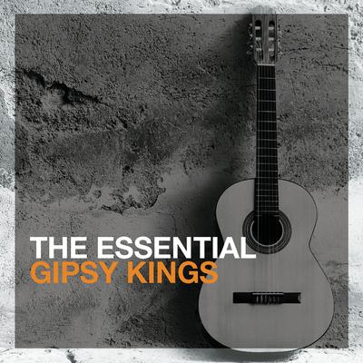 Gipsy Kings Hit Mix '99 (Radio Mix) By Gipsy Kings's cover