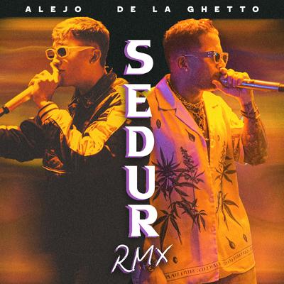 SEDUR (Remix)'s cover