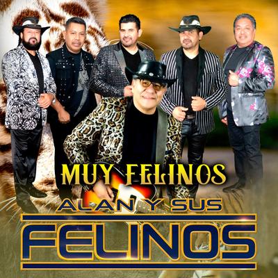 Muy Felinos's cover