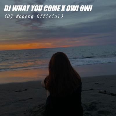 Dj What You Come X Owi Owi (Remix) By Calvin Harris, Callvin Harris's cover