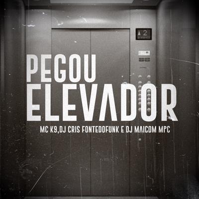 Pegou o Elevador's cover