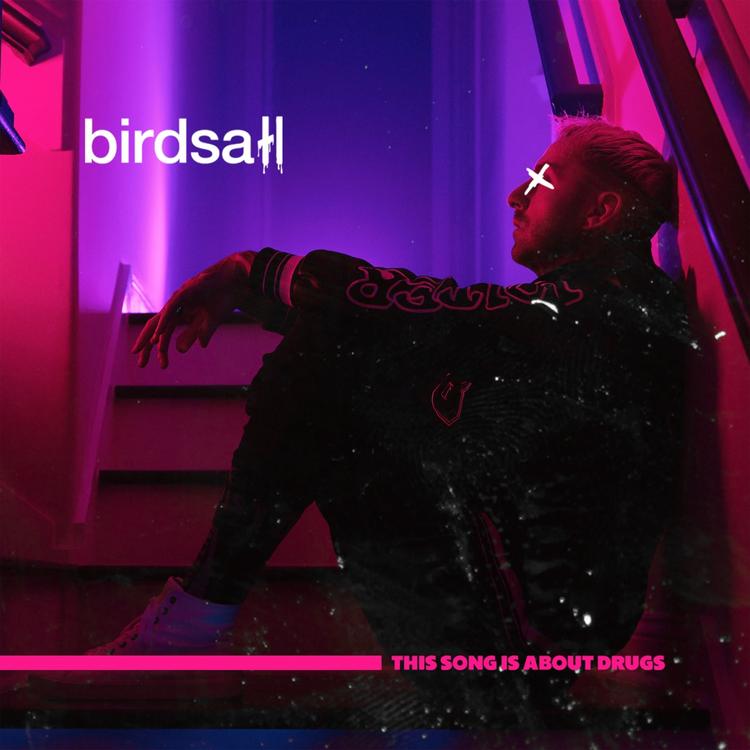 birdsall's avatar image