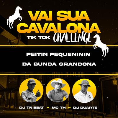 Vai Sua Cavalona - Tik Tok Challenge's cover