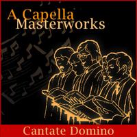 Schola Cantorum Cantate Domino's avatar cover