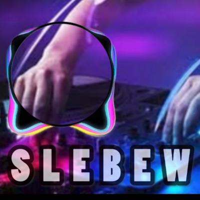 Slebew (Remix)'s cover