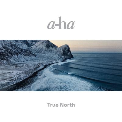 Forest For The Trees By a-ha's cover