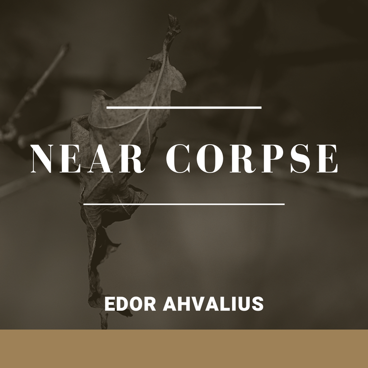 Edor Ahvalius's avatar image