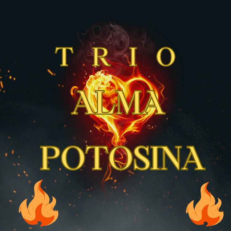Trio Alma Potosina's avatar image