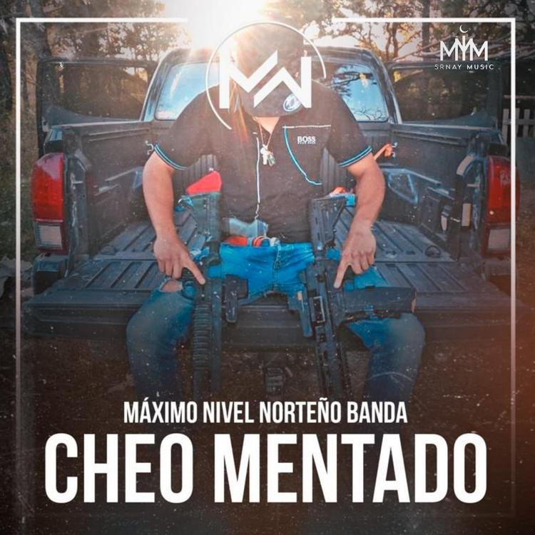 Maximo Nivel Norteño Banda's avatar image