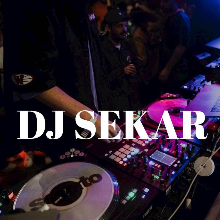 DJ SEKAR's avatar image