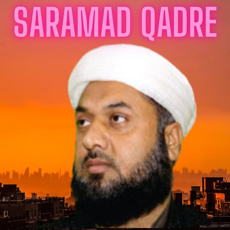 Saramad Qadre's avatar image