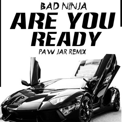 Are You Ready (PAW JAR Remix) By Bad Ninja, PAW JAR's cover