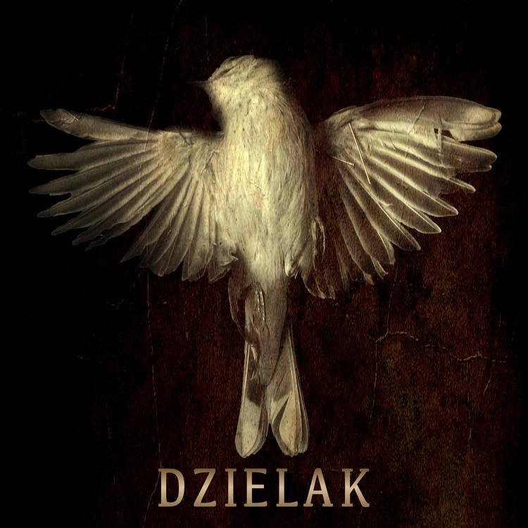 Dzielak's avatar image