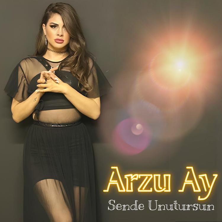 Arzu Ay's avatar image