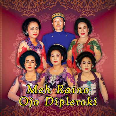 Meh Raino - Ojo Dipleroki's cover