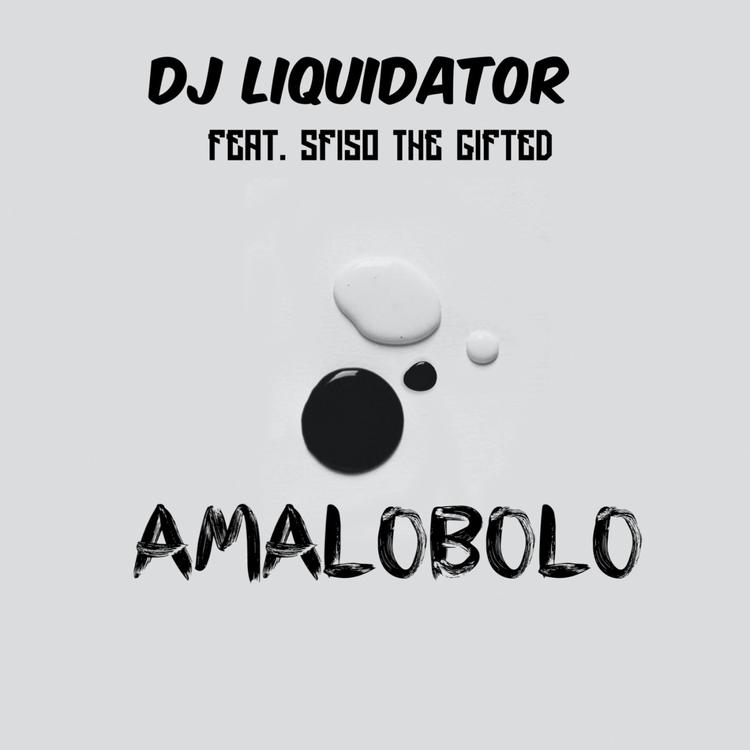 Dj Liquidator's avatar image