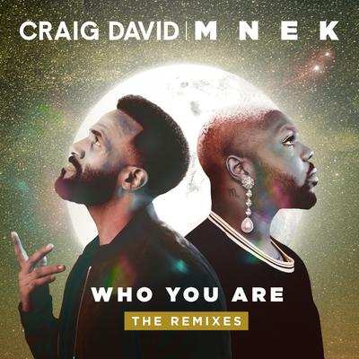 Who You Are (The Remixes)'s cover