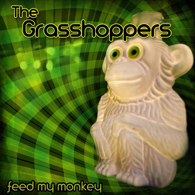 The Grasshoppers's avatar image