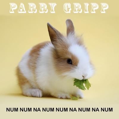 Num Num Na Num Nam Na Num Na Num (Slow Version) By Parry Gripp's cover