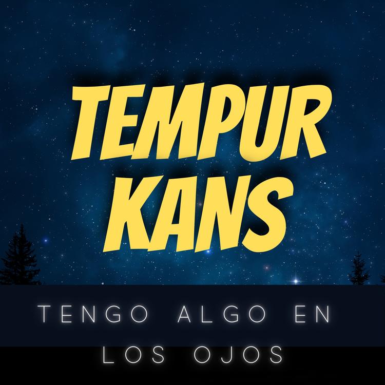 TEMPUR KANS's avatar image