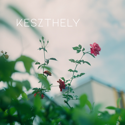 Keszthely By Pataki Gisella's cover