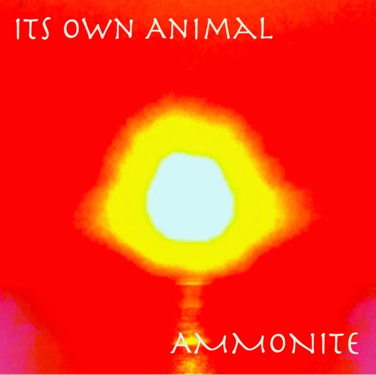 ITS OWN Animal's avatar image