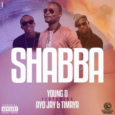 Shabba (feat. Ayo Jay & Timaya)'s cover