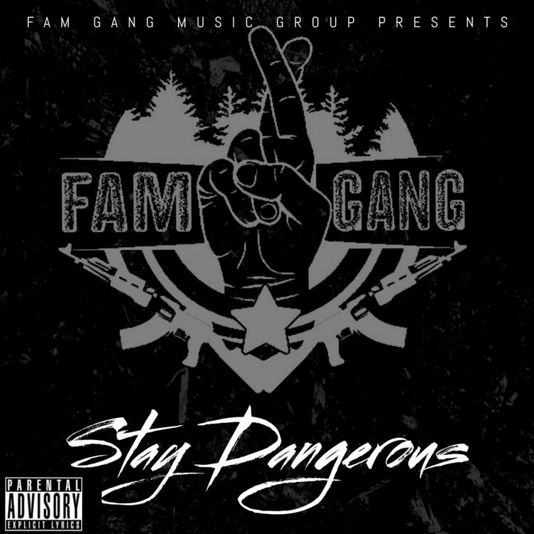 Fam Gang's avatar image