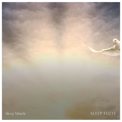 Sleep Miracle By Sleep Miracle's cover