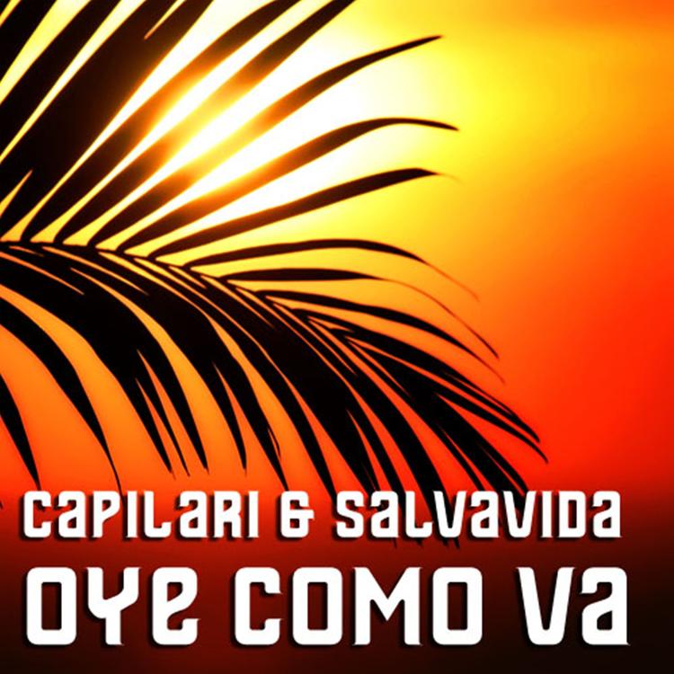 Capilari & Salvavida's avatar image