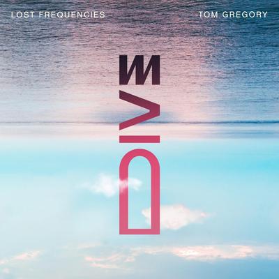 Dive By Lost Frequencies, Tom Gregory's cover