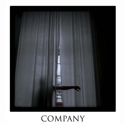 Company By Arkane Skye, Veela's cover