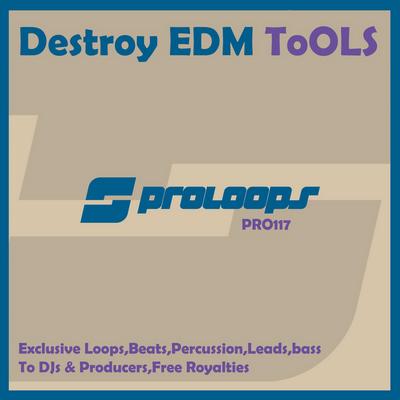 Destroy EDM Tools Paddy2 128 (Tool 15) By Supaman's cover