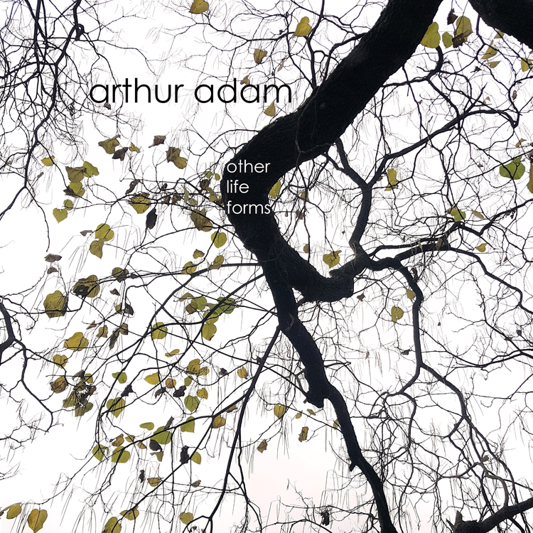 Arthur Adam's avatar image