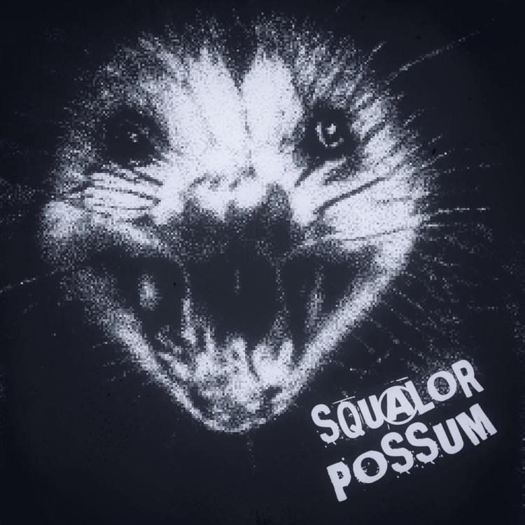 Squalor Possum's avatar image