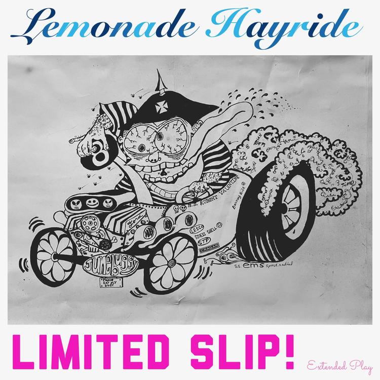 Lemonade Hayride's avatar image